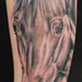 tattoos/ - Realistic Black and Grey Horse Tattoo - 61635
